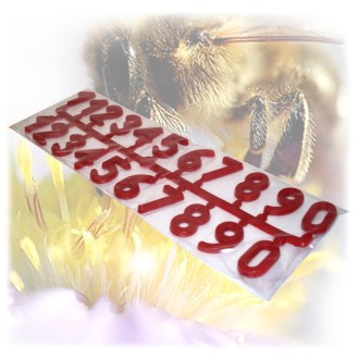Plastic numbers on hive